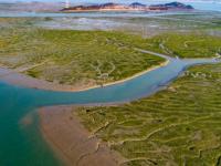 Addition of 4 tidal flats to domestic World Heritage site 'likely'