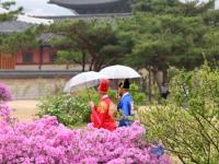 June sees fourth straight month of tourism surplus, KRW 2T surge