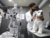 동물병원 의료용 마약류 관리 강화…정보관리 의무화·합동점검